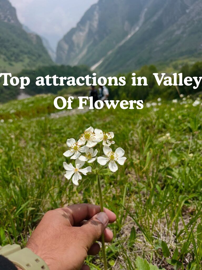 Top attractions in Valley Of Flowers 